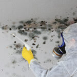 A,Man,Removing,Mold,Fungus,With,Respirator,Mask