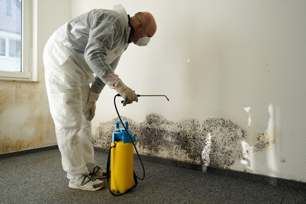 Specialist,In,Combating,Mold,In,An,Apartment