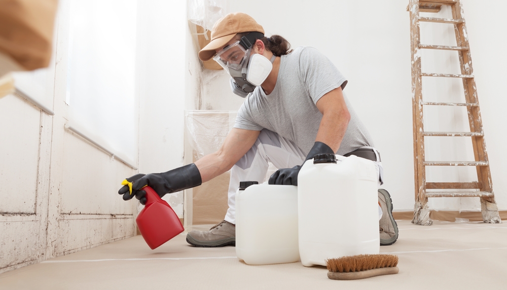 In,The,Home,Renovation,Site,Worker,Using,Products,For,Mold