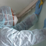 Mold,Inspection,And,Removal,Services