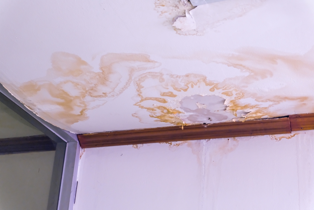 Water,Damaged,Ceiling,Roof,,Brown,Stain,,Office,Building